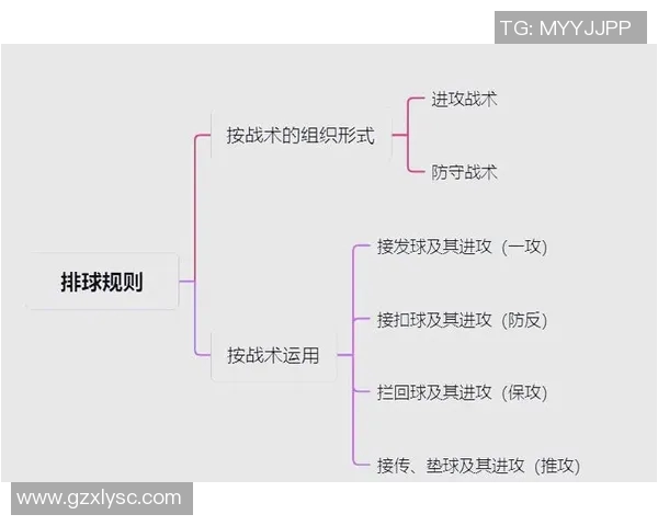 深入分析上海排球队的进攻策略与战术特点解析 深入分析上海排球队的进攻策略与战术特点解析