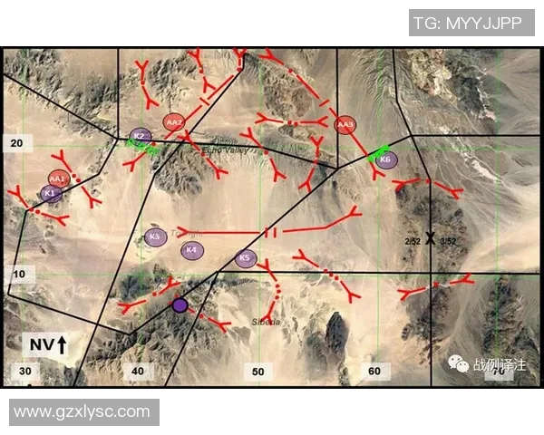 深圳网球队区域防守战术解析与深度剖析之旅