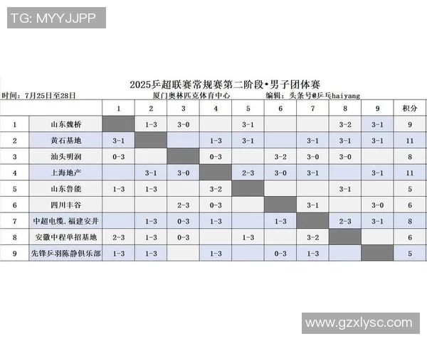 深入探讨上海乒乓球队近期状态及其对比分析的全景视角