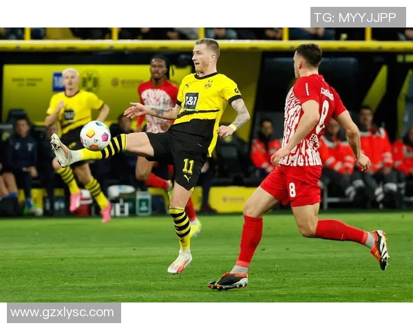 多特蒙德足球明星的辉煌历程与未来展望分析