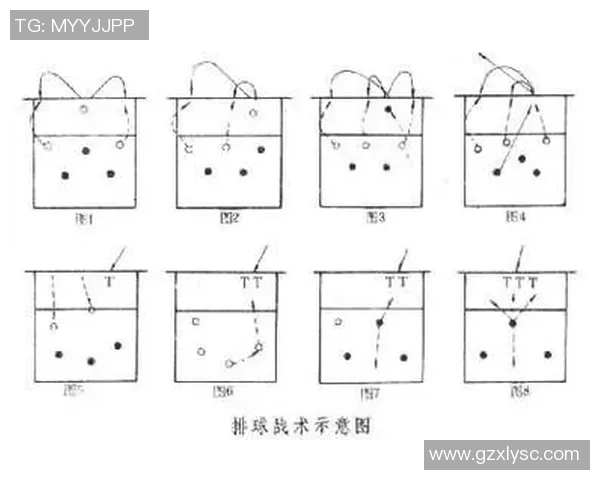 成都排球队在联赛中的速度优势与战术分析探讨 成都排球队在联赛中的速度优势与战术分析探讨