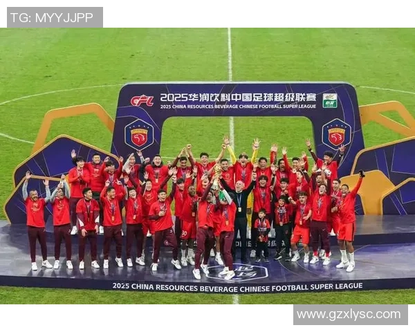 杭州足球队实力强劲荣登全国足球力量排行榜第八位 杭州足球队实力强劲荣登全国足球力量排行榜第八位