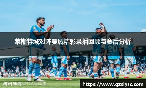 莱斯特城对阵曼城精彩录播回顾与赛后分析